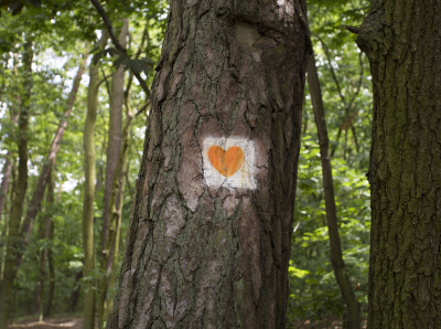 fot. Sylwia Mierzewska UCK