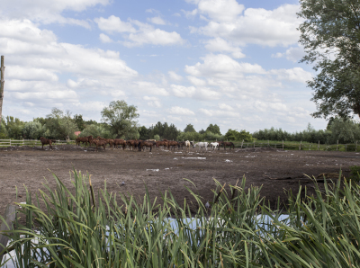 fot. Sylwia Mierzewska UCK